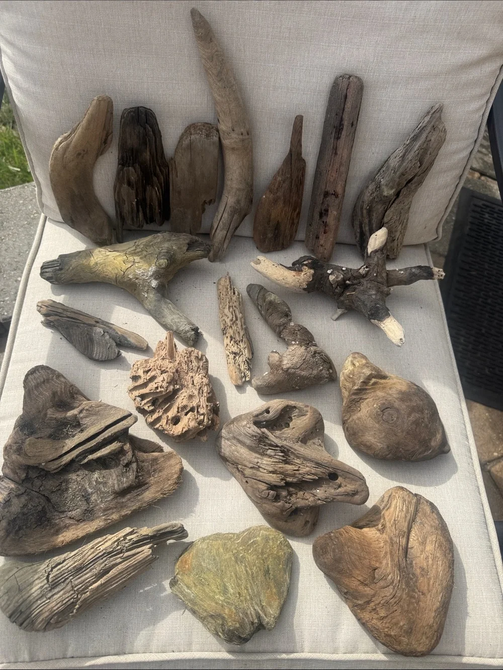 19 pc (5 lb shipped) Natural Driftwood for Craft, Projects, Upcycle& Decor